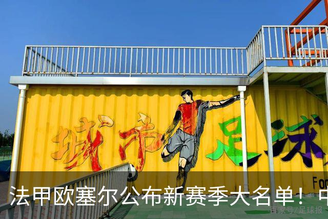 法甲欧塞尔公布新赛季大名单！中国男足主力中锋首次入选，期待法甲首秀